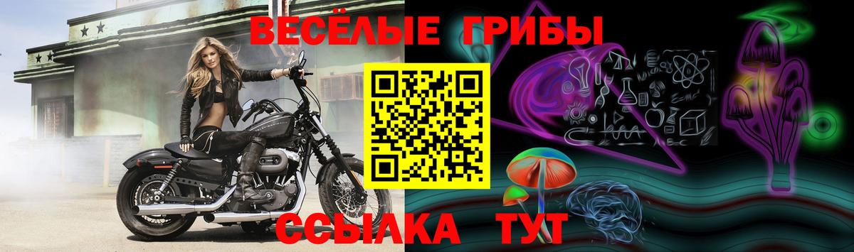Богородицк  Галлюциногенные грибы мицелий  Вход с VPN 